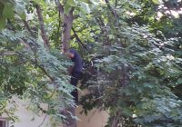 img-20160831-wa0018
